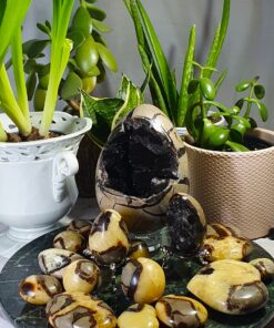 SEPTARIA EHK DRAAKONIKIVI_crystaltherapy