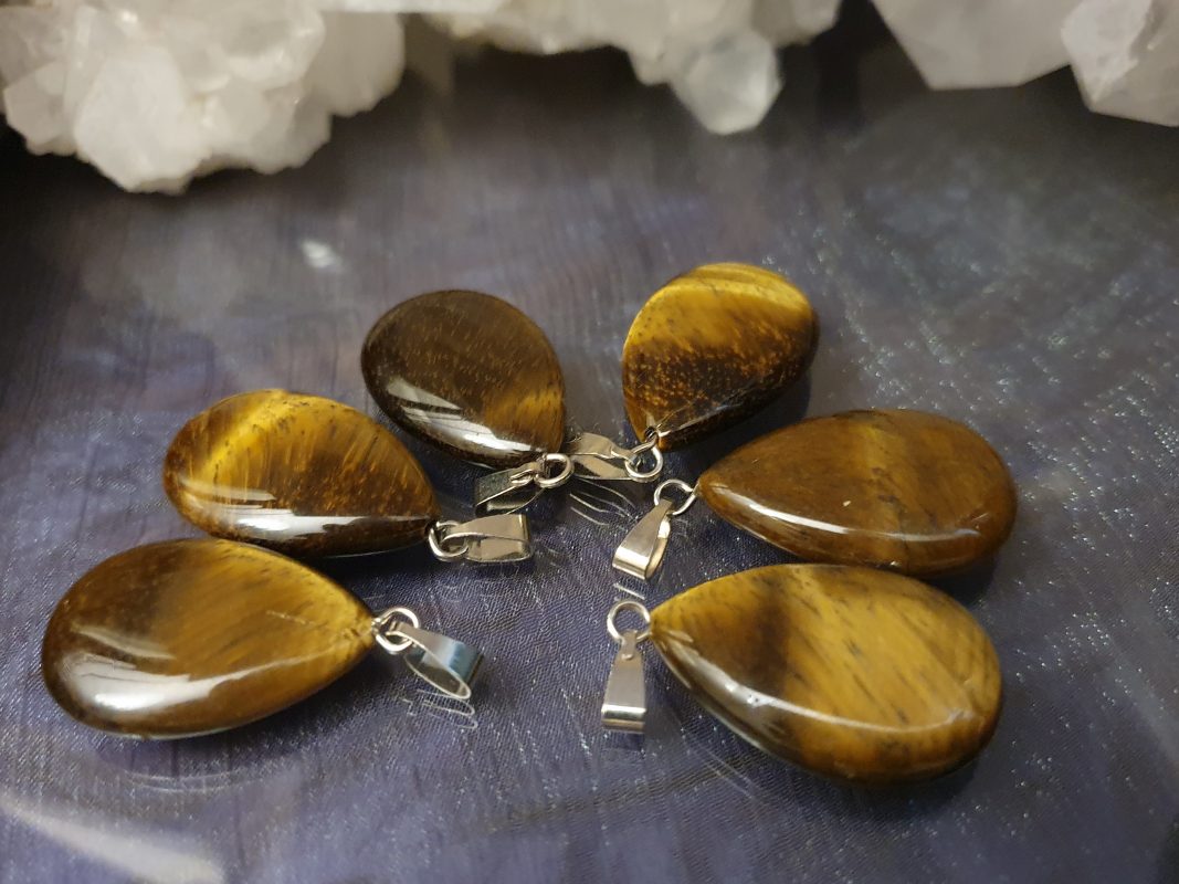 Tiigrisilm_tilgakujuline ripats