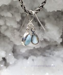 Larimariga tilgakujulised hõbekõrvarõngad